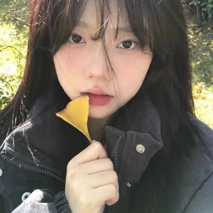 续韩国泪的小花